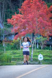 BIB: 8017
                            <button type="button" onclick="openModal(19242169)" class="btn btn-primary btn-sm float-right btn-popup" data-toggle="modal" data-target=".modal-high-quality">
                        <i class="fas fa-shopping-cart"></i> Add to Cart
                    </button>
                                            <button type="button" onclick="isThisMe(19242169, true)" class="btn btn-success btn-sm float-right btn-popup btn-isme hidden" data-toggle="tooltip" data-placement="bottom" title="นี่คือรูปของคุณใช่ไหม คลิกที่นี่เพื่อเอาเข้าอัลบั้ม">
                        <i class="fas fa-plus"></i> Add to album
                    </button>
                    <button type="button" onclick="isThisMe(19242169, false)" class="btn btn-warning btn-sm float-right btn-popup btn-isnotme hidden">
                        <i class="fas fa-ban"></i> Remove from album
                    </button>